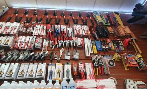 HWY145 MARKET Y TAQUERIA