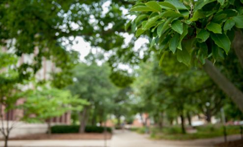Prospect Bank Watseka