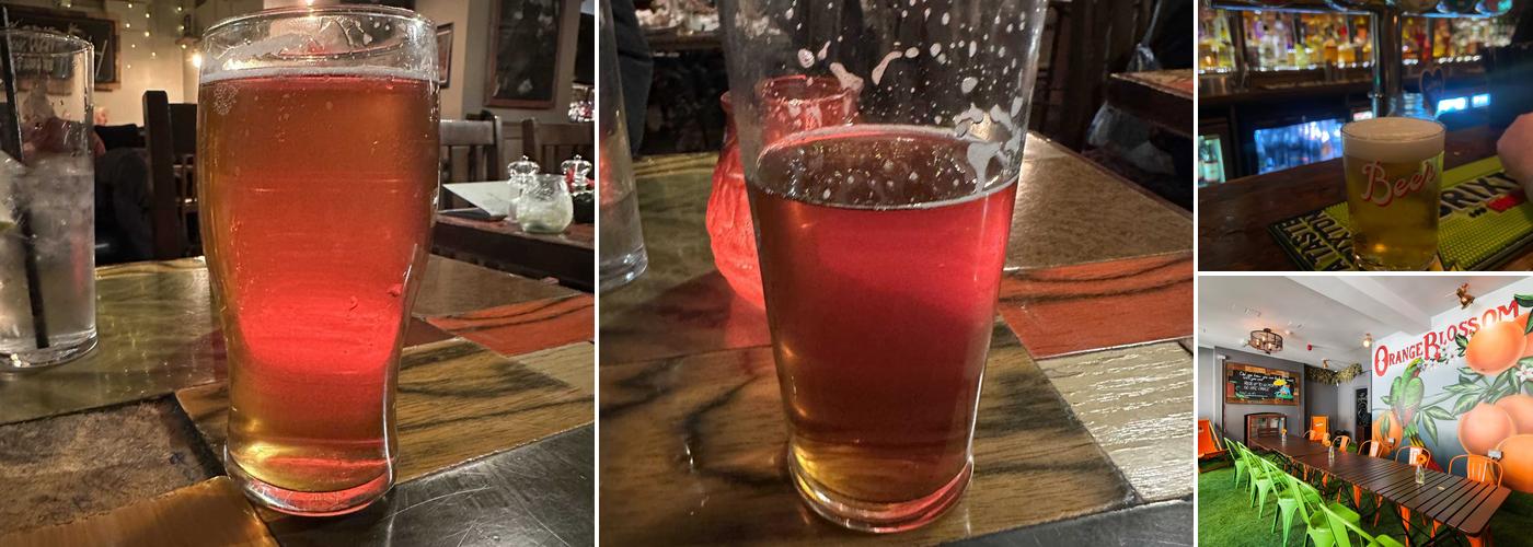 The Prince Of Wales Feathers