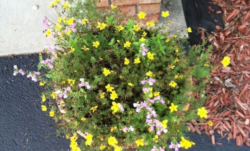 Fayette County School CU