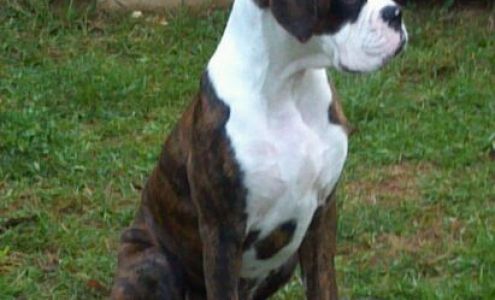 Belco Community Credit Union