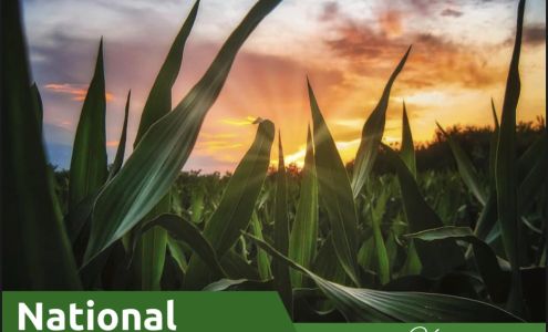 Farmers State Bank of Hoffman Hoffman