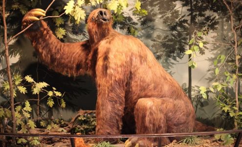 Iowa Lion's Eye Bank Iowa City