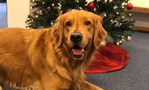 Raymond James Financial Services Asbury