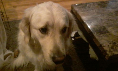 Huntington Bank ATM (Walk Up and Drive-Up)