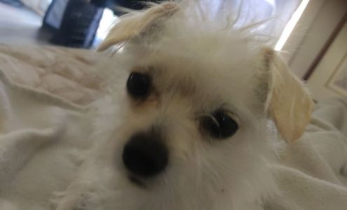 Huntington Bank ATM (Drive-Up)