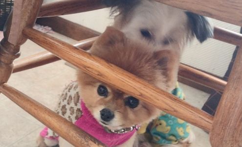 United Bay Community Credit Union