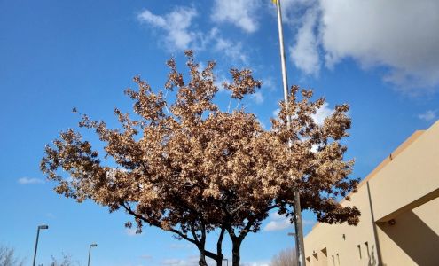 Sandia Laboratory Federal Credit Union