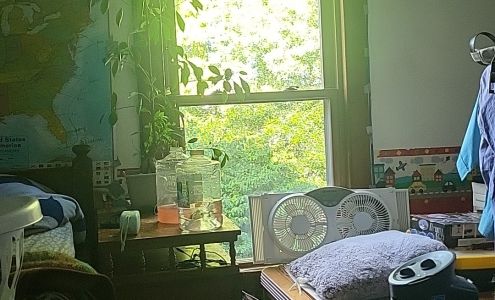 Vivian Ventriglia - Prudential Financial