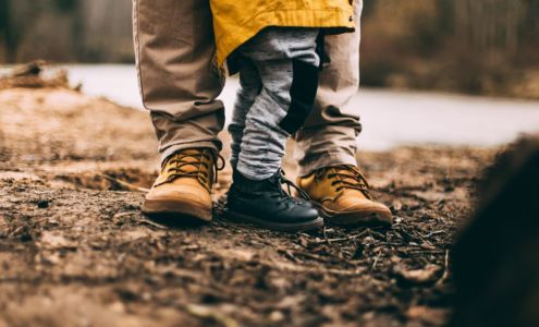 Morgan Stanley Financial Advisors