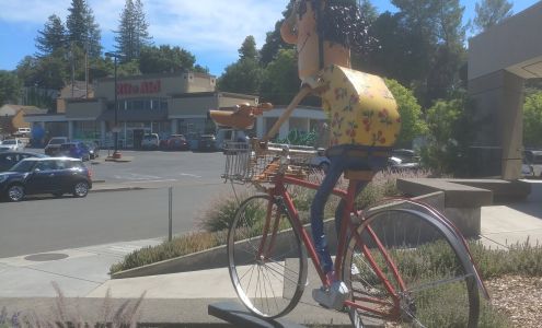 Community First Credit Union