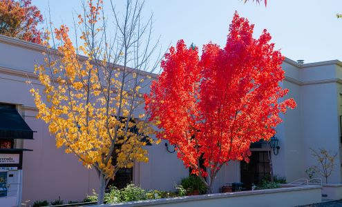 Silverado Credit Union