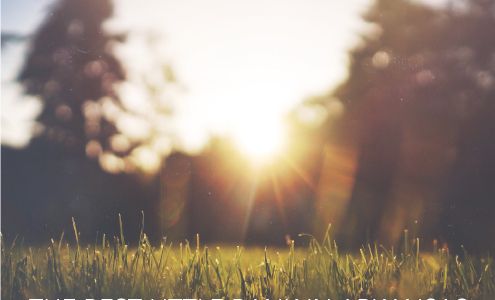 Bank of Delight Delight