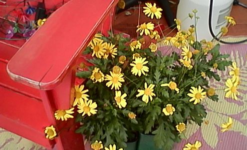 Latitude 32 Credit Union