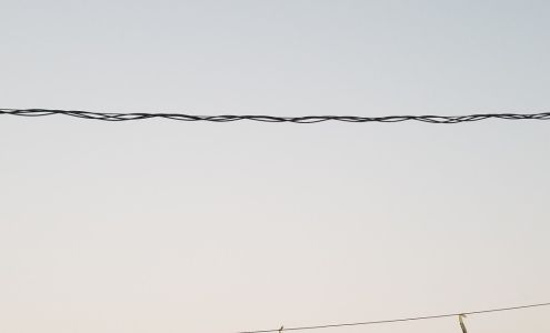 CommonWealth One Federal Credit Union