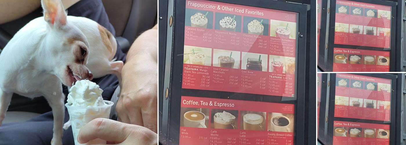 Starbucks Menu