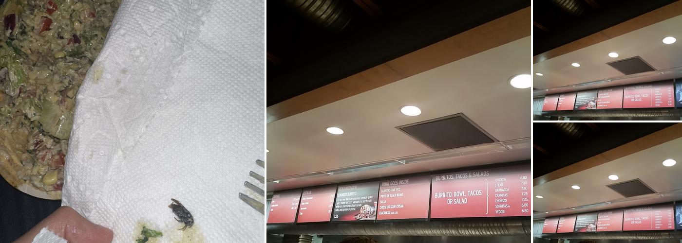 Chipotle Mexican Grill Menu