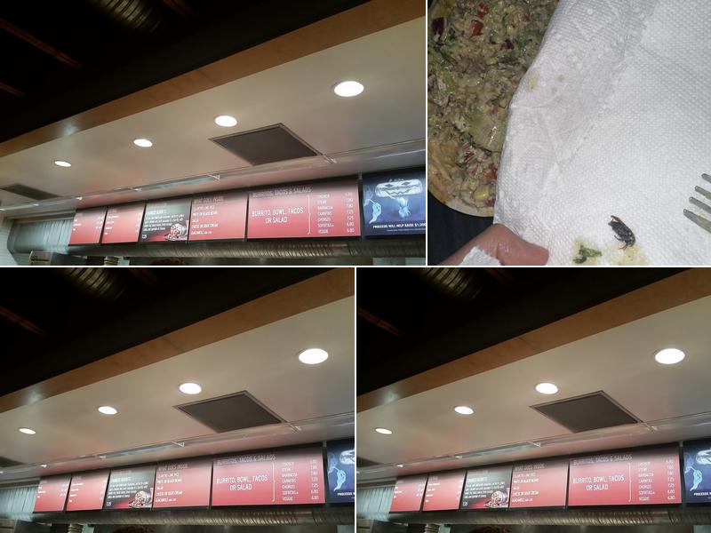 Chipotle Mexican Grill Menu