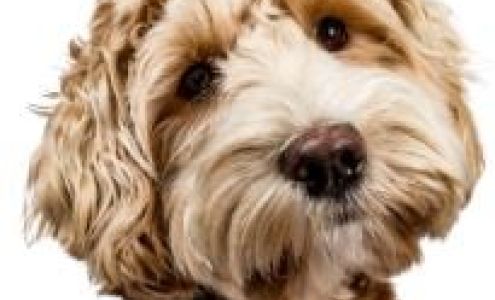 First National Community Bank Eton