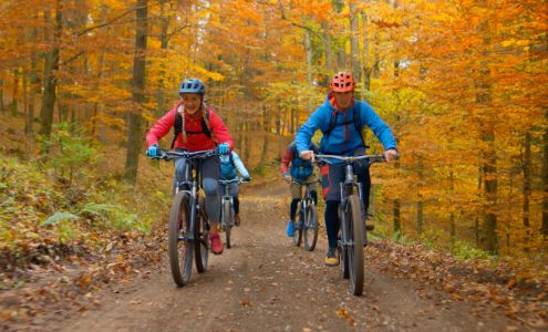 Northeast Credit Union