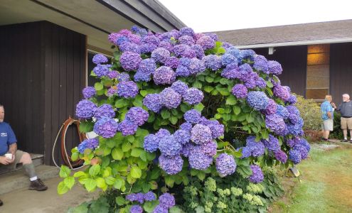 Copalis Community Church Copalis Beach