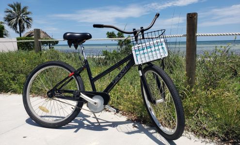 Island Bike Rental