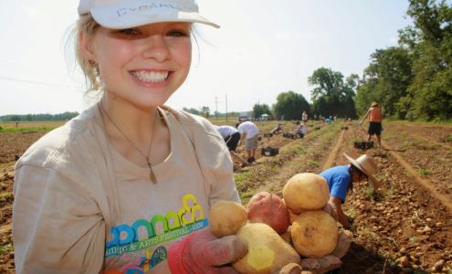 Healthy Harvest Food Bank
