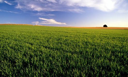 ACB Bank- Garber Branch Garber