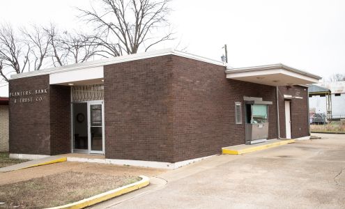 Planters Bank Sunflower