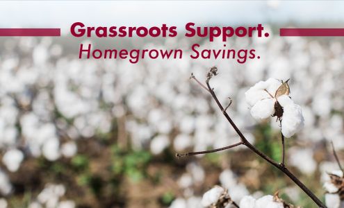 Georgia Farm Bureau Bartow