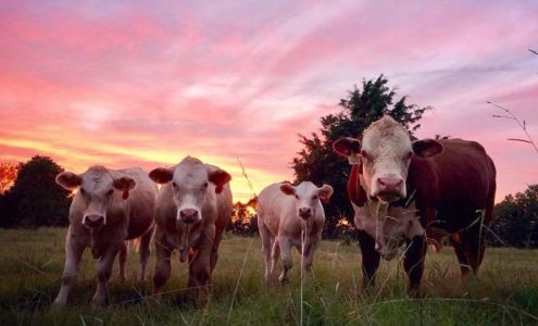 Alabama Farm Credit- Administrative Office