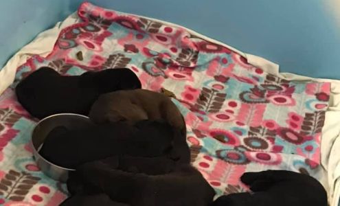 MortgageCerv Capitol Milledgeville