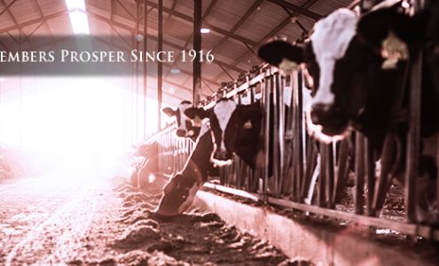 Yosemite Farm Credit - Administrative Office