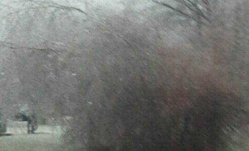 BNY Mellon Wealth Management Westborough