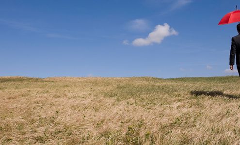 Palmetto First Federal Credit Union