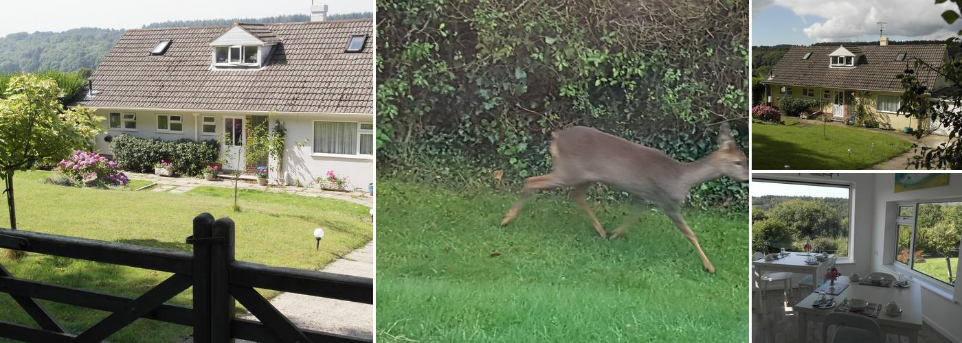 Nettle Bank Bed and Breakfast