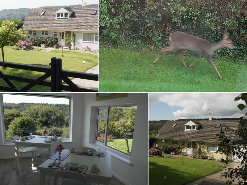 Nettle Bank Bed and Breakfast