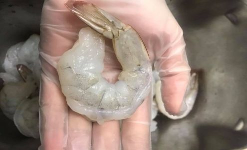 Moe Residual Trust Sidney