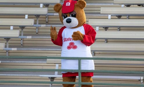 Laura Whitney - State Farm Insurance Agent