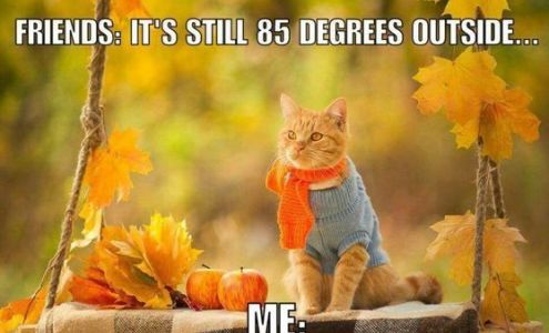 Russell Banks - State Farm Insurance Agent