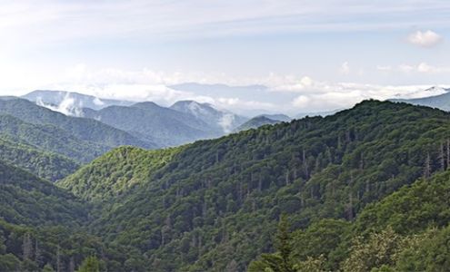 Tennessee Credit Union League