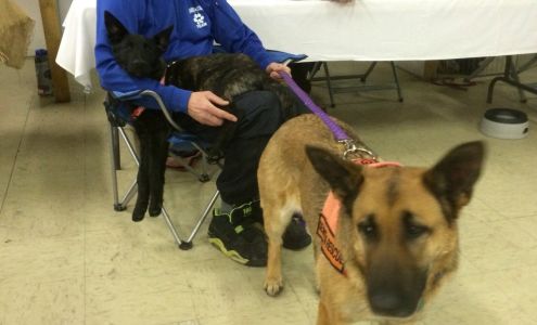 Teton Trust Co Jackson