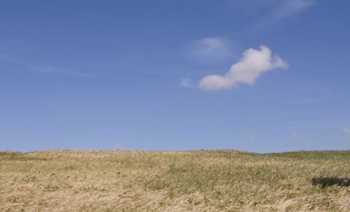 Wells Fargo Advisors Financial Network