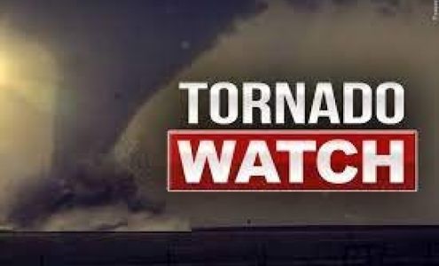 Central Wisconsin Martial Arts