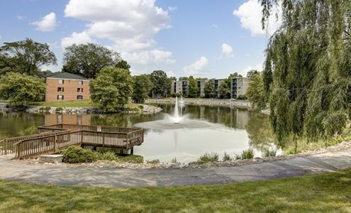 Willowtree Gym Ann Arbor