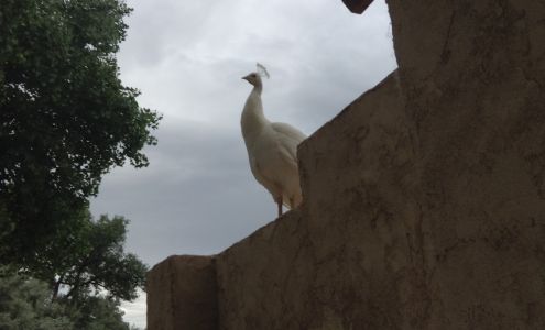 Kundalini Research Institute Santa Cruz