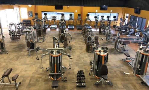 Princeton Club Xpress McFarland