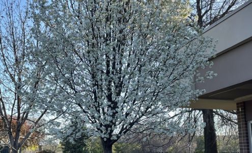 Omaha Integrative Care