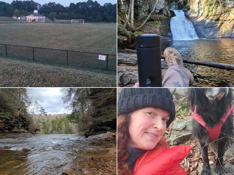 Deep Rooted Wellness and Creatives