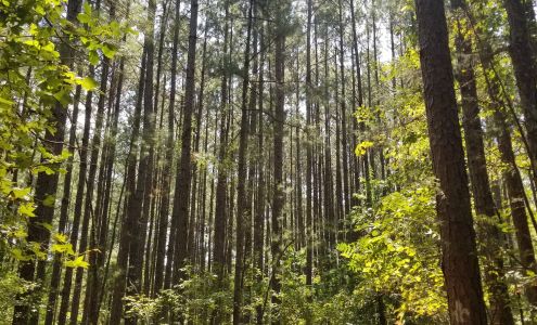 The Gauntlet Fitness and Walking Trail